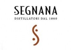 Segnana
