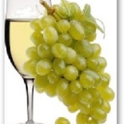 White Wines